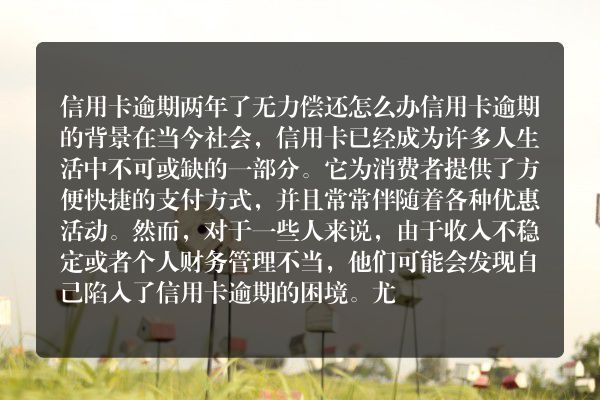 信用卡逾期两年了无力偿还怎么办